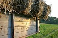 straw-dare-straw-bales-agriculture-480718.jpg