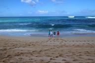 beach-hawaii-summer-sea-sand-1691130.jpg