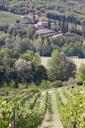 vineyard-wine-farm-gut-manor-989271.jpg