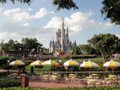 disneyland-disney-castle-919926.jpg