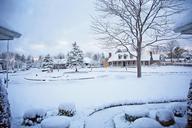 snowy-neighborhood-winter-1056854.jpg