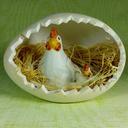 easter-hen-chicken-chicks-egg-633669.jpg