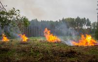 campfire-forest-meadow-fire-large-1708212.jpg