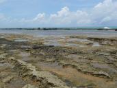 coral-reef-stones-beach-835321.jpg