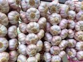 garlic-french-garlic-delicious-food-937534.jpg