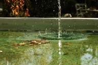 water-drops-drop-fall-damp-pool-62729.jpg