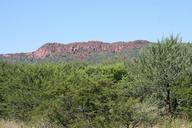 plateau-scrub-brushwood-undergrowth-49869.jpg