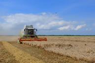 agriculture-harvest-wheat-plain-595104.jpg