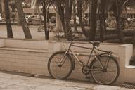 bicycle-childhood-bike-ride-cycle-974806.jpg