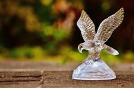 raptor-adler-glass-fig-1665379.jpg