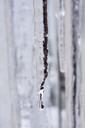 ice-icicle-drip-cold-winter-white-633156.jpg