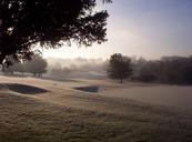 cold-frozen-landscape-golf-course-997223.jpg