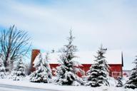 winter-barn-snow-rural-farm-red-556697.jpg