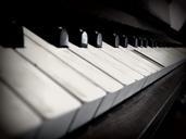 piano-huden%C3%AD-tool-macro-277167.jpg