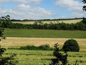 fields-landscape-nature-arable-1136279.jpg