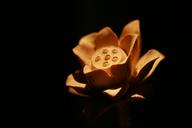 lotus-wood-carving-zen-680551.jpg