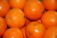 orange-fruit-citric-food-healthy-565397.jpg