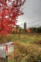 mailbox-nature-red-trees-sky-63906.jpg