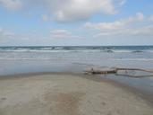 beach-driftwood-ocean-sky-rainy-1579171.jpg