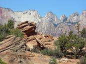 rock-nature-shrubs-zion-631309.jpg