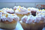 cupcake-food-dessert-695043.jpg