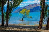 new-zealand-wanaka-lake-wanaka-276854.jpg