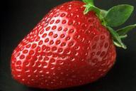 strawberry-sweet-red-delicious-82529.jpg