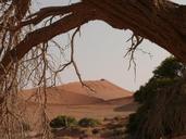 desert-sahara-namibia-drought-336155.jpg