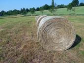 straw-straw-bales-round-bales-832494.jpg