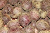 beetroot-turnip-beet-of-rahner-256052.jpg