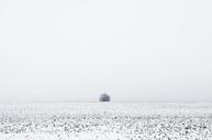 winter-landscape-frost-snow-933175.jpg