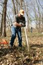 Working in forest removing jetbead plant rhodotypos scandens.jpg