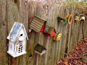 birdhouse-fence-antique-rustic-218769.jpg