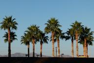 death-valley-california-usa-dry-94417.jpg