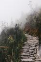 trail-path-mountains-hill-woods-867235.jpg