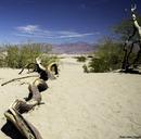 Death_Valley_Sand_Dunes.jpg