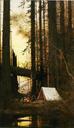 'Around_the_Campfire'_('Encampment_in_the_Redwoods')_by_Jules_Tavernier.jpg