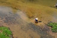 creek-laundry-the-scenery-jiang-782777.jpg