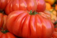 tomatoes-fresh-vegetables-vegetarian-1134530.jpg