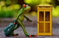 frog-phone-booth-travel-book-phone-949601.jpg