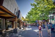 downtown-queenstown-queenstown-286253.jpg