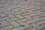 tile-pavement-road-city-831527.jpg