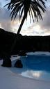 palm-exotic-pool-574476.jpg