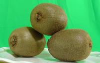 kiwi-fruit-green-background-dessert-1339145.jpg