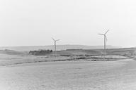 turbine-farm-wind-energy-power-666607.jpg