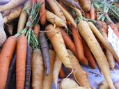 carrots-fruits-veggies-roots-338185.jpg