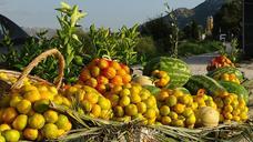 melons-lemons-market-food-eat-507134.jpg