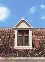 curacao-skylight-roof-flowers-1467577.jpg