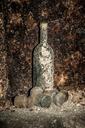 old-wine-bottle-cellar-bottle-mold-273274.jpg