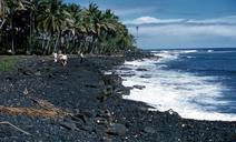 Black Sand Beach big island Hawaii 1959.JPG